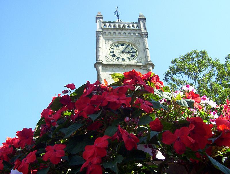 100_2428.jpg - A summer day in Salisbury's town centre